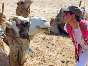 Course automobile des gazelles : conversation avec un chameau