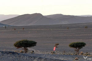 Rallye Aicha des gazelles 2018