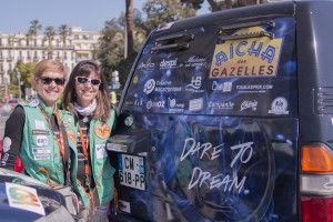 Gazelle_2016_091     