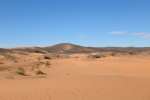 Stage rallye des gazelles - Speed evasion adventure 