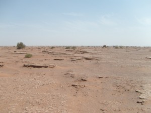 Rallye des gazelles 2009 - OUED DRAA Rallye des gazelles 2009 - OUED DRAA
