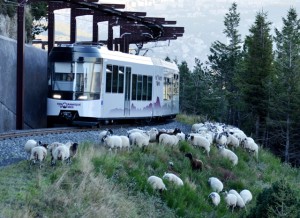 Le Panoramique des dômes - le train à crémaillère du puy de dôme 